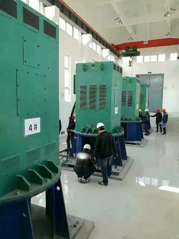 黄陵某污水处理厂使用我厂的立式高压电机安装现场